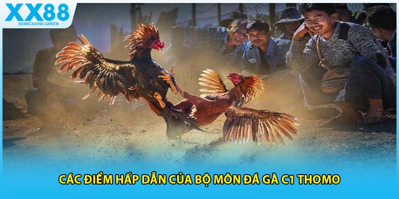 Các điểm hấp dẫn của bộ môn đá gà c1 thomo