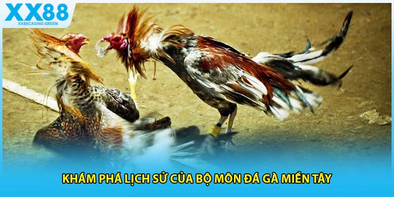 Khám phá lịch sử của bộ môn đá gà miền tây